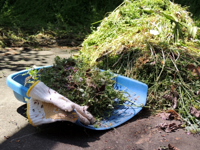 草刈りサービス紹介